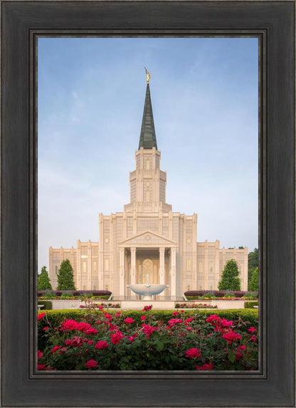 Houston Pastel Morning