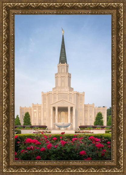 Houston Pastel Morning