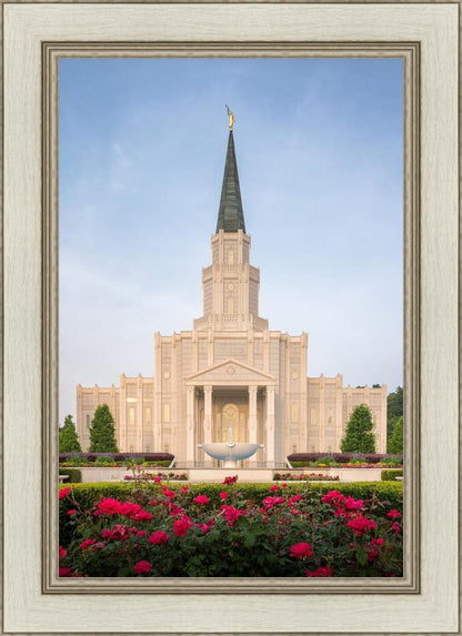 Houston Pastel Morning