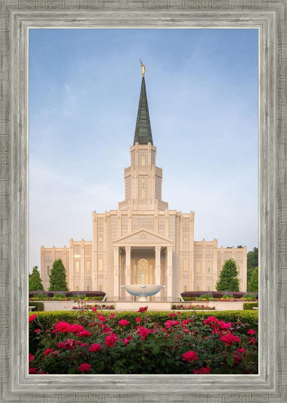 Houston Pastel Morning