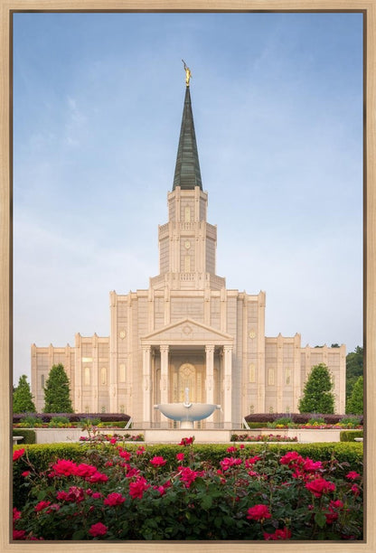 Houston Pastel Morning