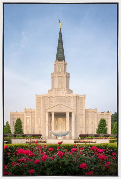 Houston Pastel Morning