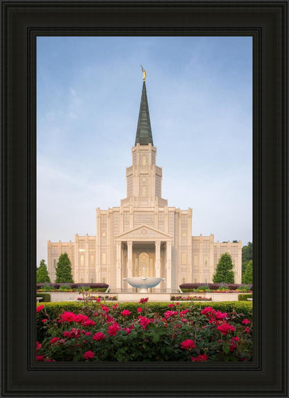 Houston Pastel Morning