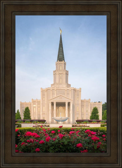 Houston Pastel Morning