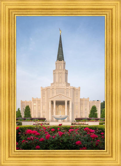 Houston Pastel Morning