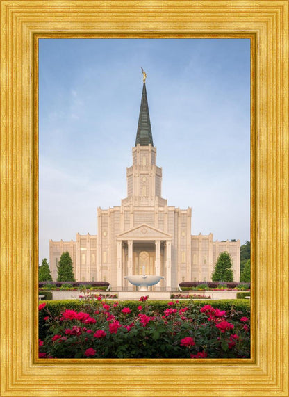 Houston Pastel Morning