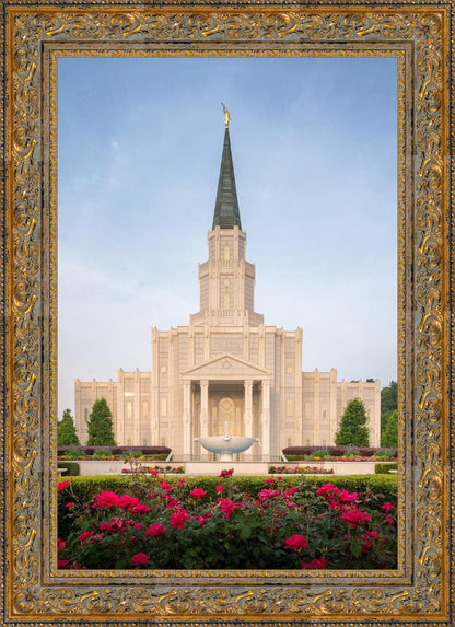 Houston Pastel Morning