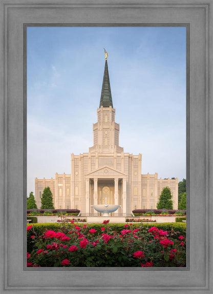 Houston Pastel Morning