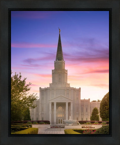 Houston Walk in the Light