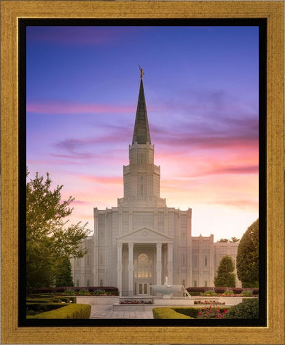 Houston Walk in the Light