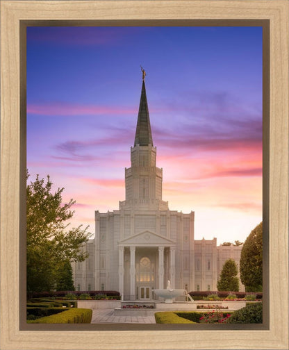 Houston Walk in the Light