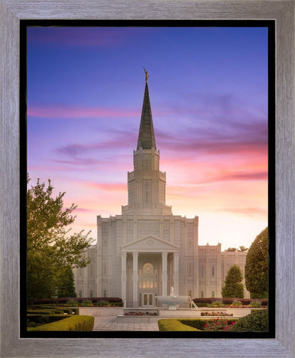 Houston Walk in the Light