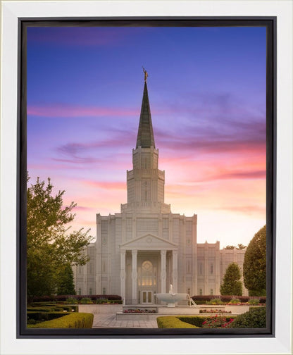 Houston Walk in the Light