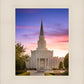 Houston Walk in the Light