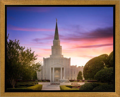 Houston Walk in the Light