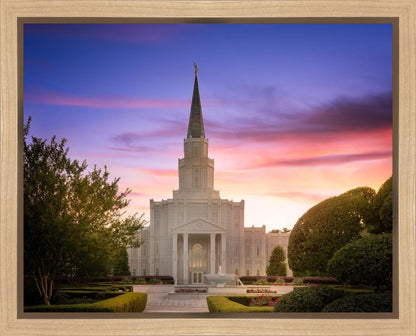 Houston Walk in the Light