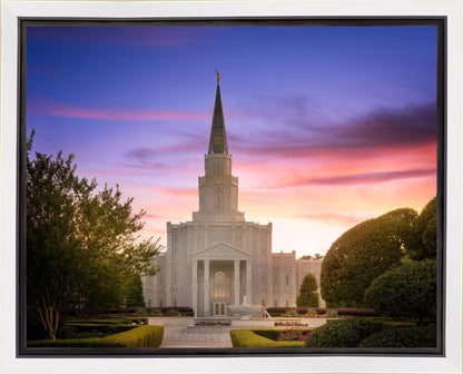 Houston Walk in the Light