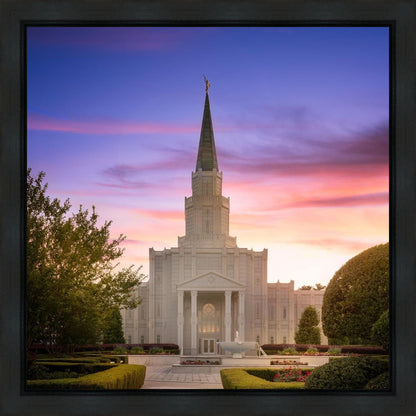 Houston Walk in the Light