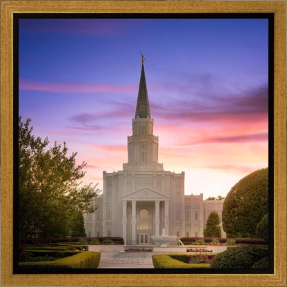 Houston Walk in the Light