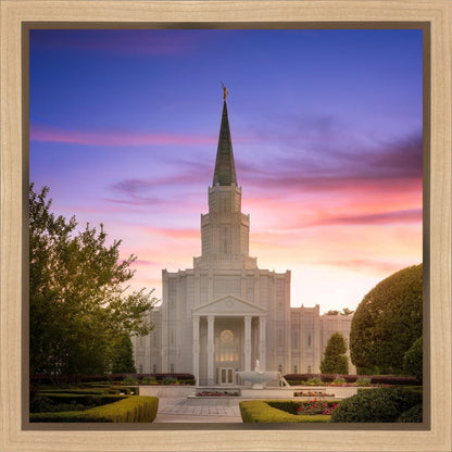 Houston Walk in the Light