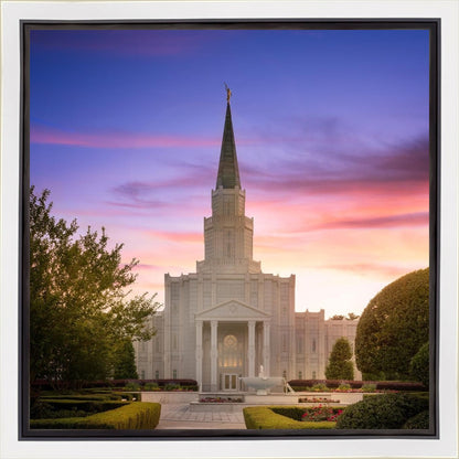 Houston Walk in the Light