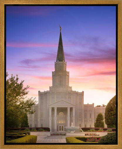 Houston Walk in the Light