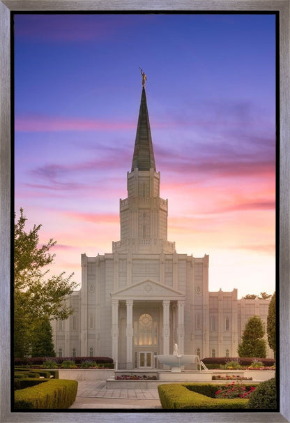 Houston Walk in the Light