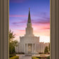 Houston Walk in the Light