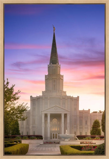 Houston Walk in the Light