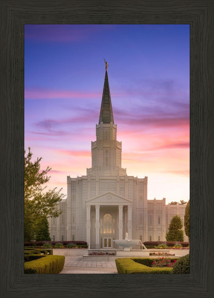 Houston Walk in the Light