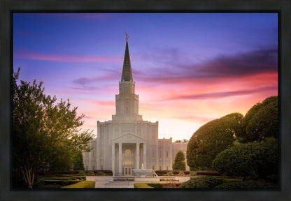 Houston Walk in the Light