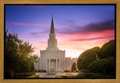 Houston Walk in the Light