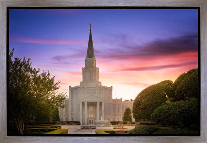 Houston Walk in the Light