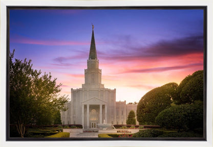 Houston Walk in the Light