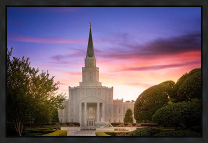 Houston Walk in the Light