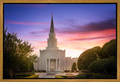 Houston Walk in the Light