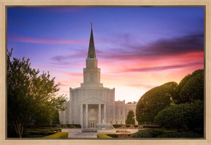 Houston Walk in the Light