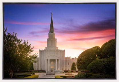 Houston Walk in the Light