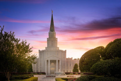 Houston Walk in the Light