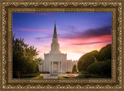 Houston Walk in the Light