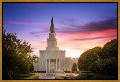 Houston Walk in the Light