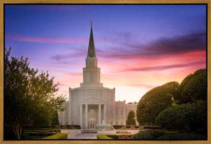 Houston Walk in the Light