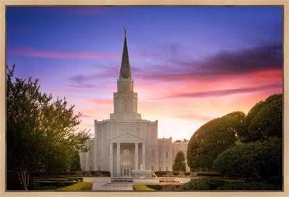 Houston Walk in the Light