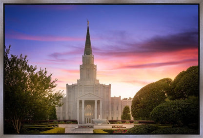 Houston Walk in the Light