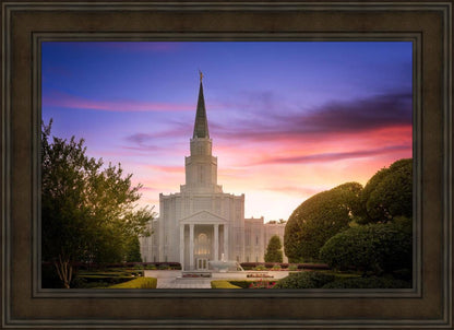 Houston Walk in the Light