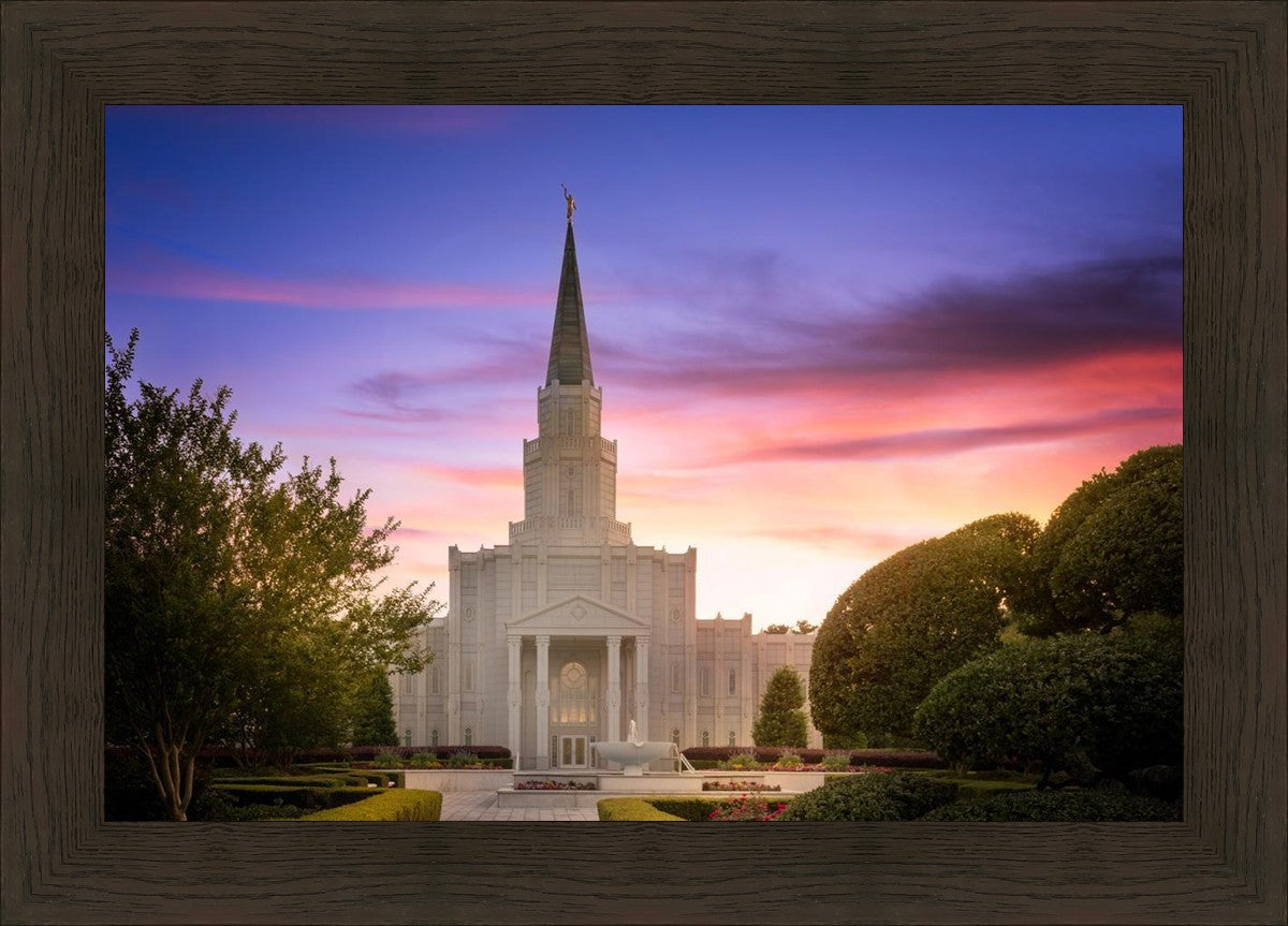 Houston Walk in the Light