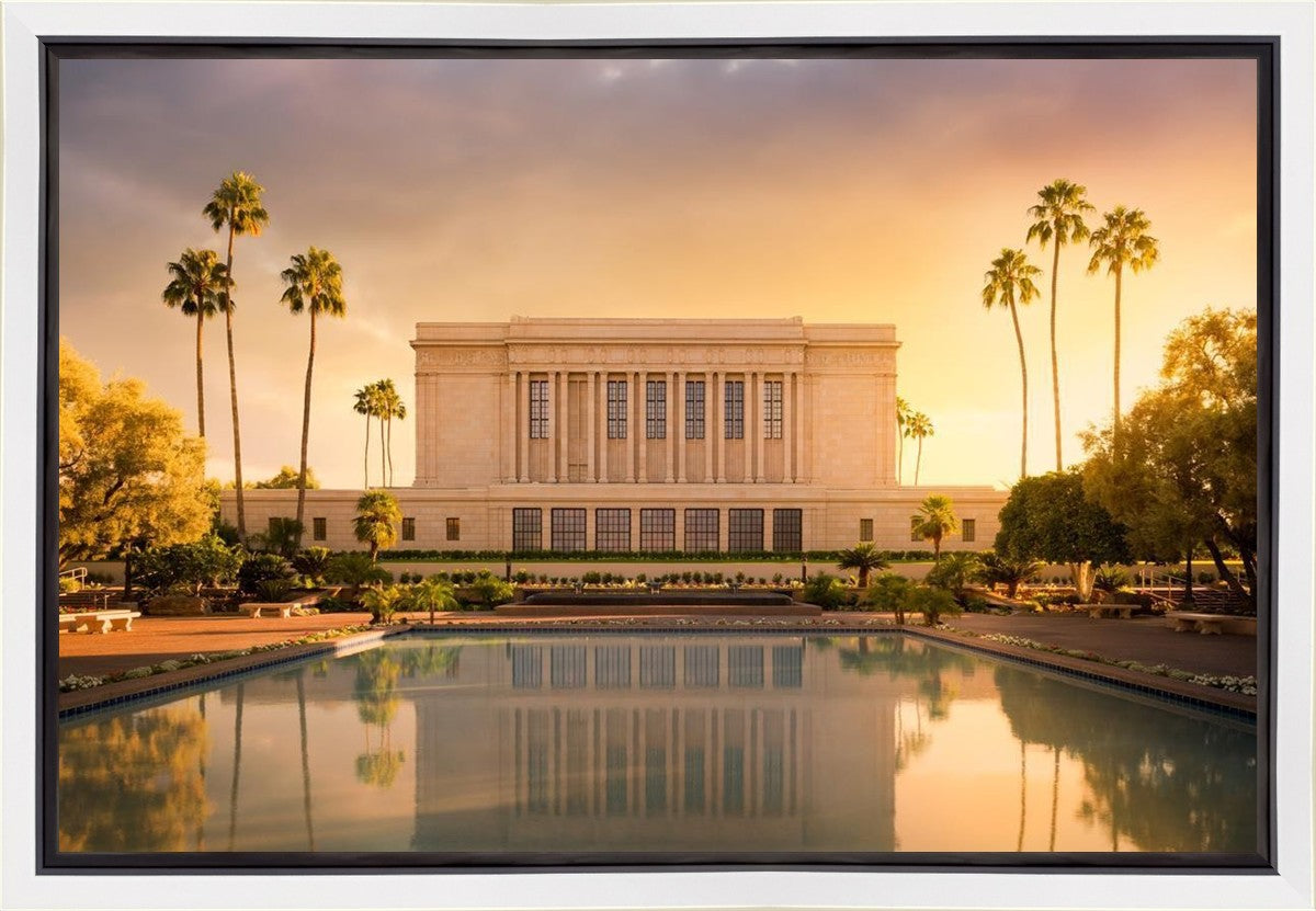 Mesa Gold Plated