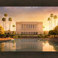 Mesa Gold Plated