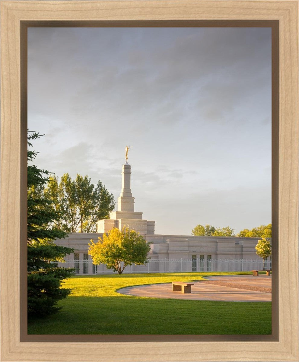Bismarck Golden Glow Gallery Wrap