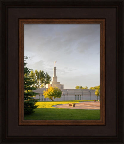 Bismarck Golden Glow